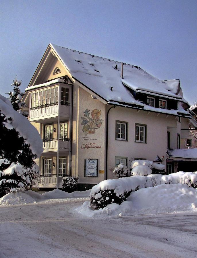 Villa Katharina Penthouse Wohnung Willingen (Upland) Exterior foto